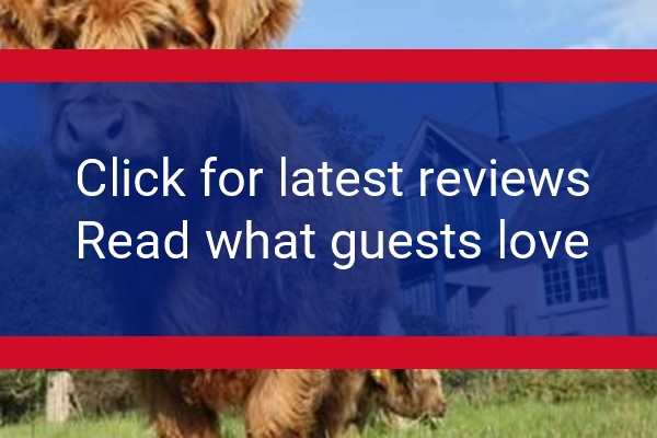 www.tanarview.co.uk - check out latest independent reviews