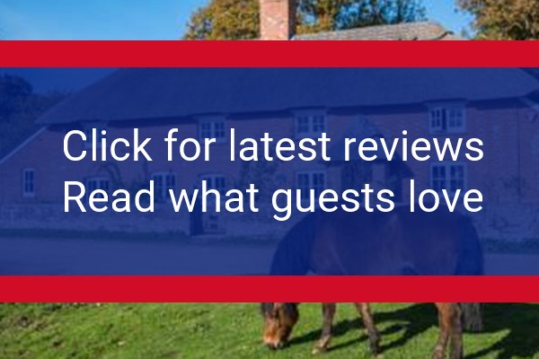 www.thatchedcottage.co.uk - check out latest independent reviews
