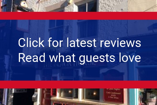 www.the-black-horse.com - check out latest independent reviews