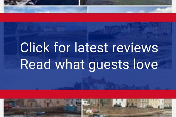 www.the-coastal-inn.com - check out latest independent reviews