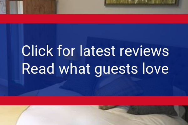 www.the-dog-inn.co.uk - check out latest independent reviews