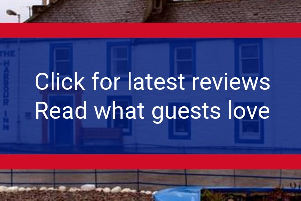 www.the-harbour-inn.co.uk - check out latest independent reviews