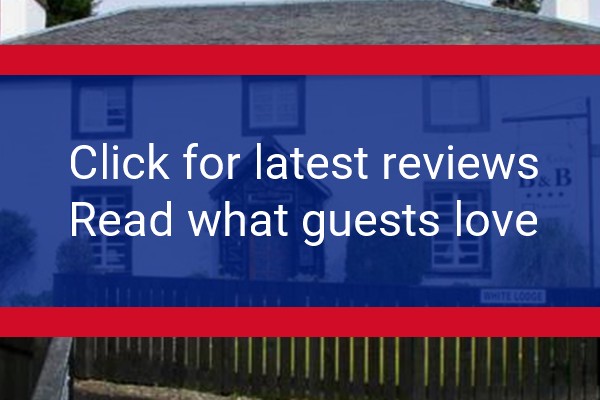 www.the-white-lodge.uk - check out latest independent reviews