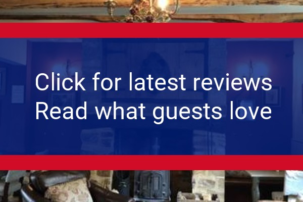 www.thebarringtonboar.co.uk - check out latest independent reviews