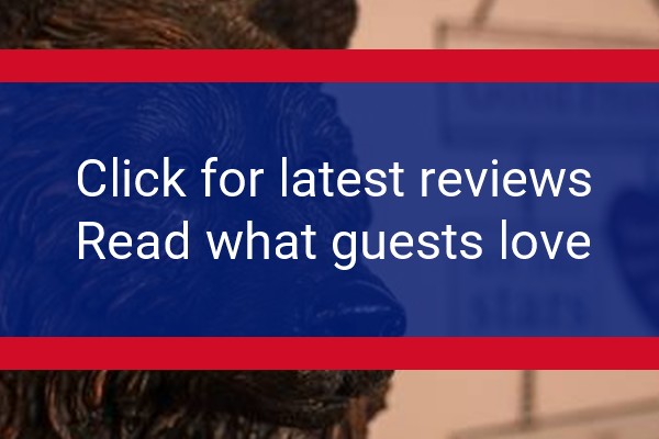 www.thebearhotelwincanton.co.uk - check out latest independent reviews