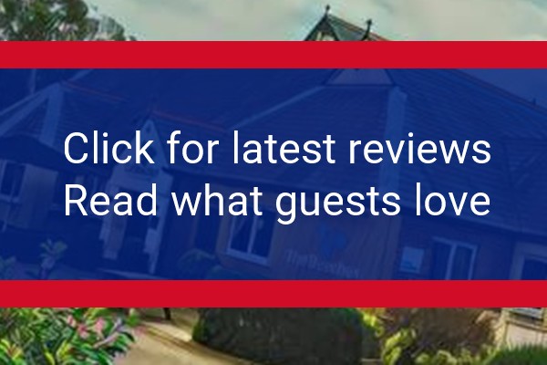 www.thebeechesinashby.co.uk - check out latest independent reviews
