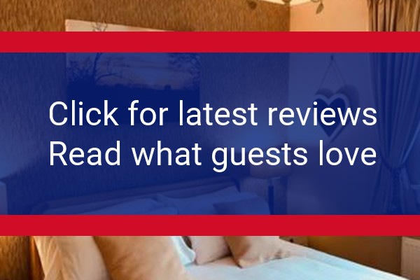 www.thebeecheskilmaurs.co.uk - check out latest independent reviews