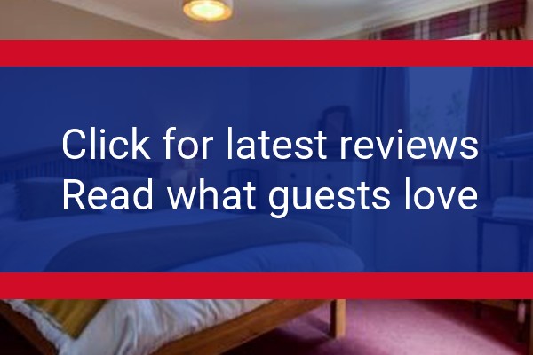 www.thebirchesbedandbreakfast.com - check out latest independent reviews