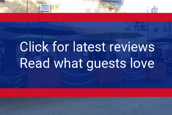 www.theblackhorse.online - check out latest independent reviews