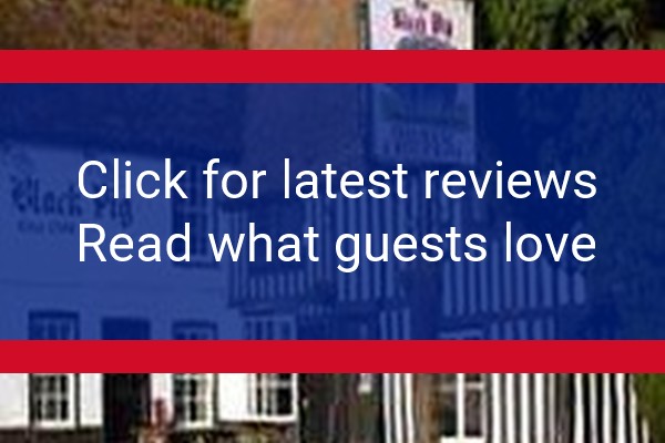 www.theblackpigstaple.co.uk - check out latest independent reviews
