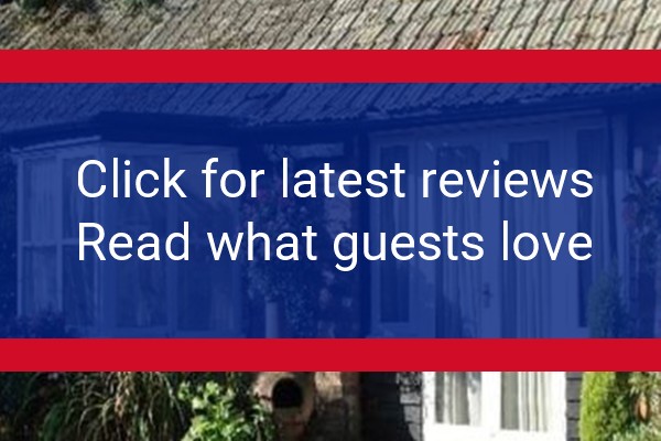 www.thebluecow.co.uk - check out latest independent reviews