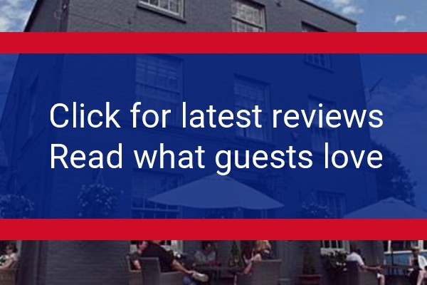 www.thebluepigeons.co.uk - check out latest independent reviews