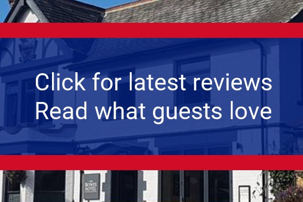www.theboweshotel.uk - check out latest independent reviews