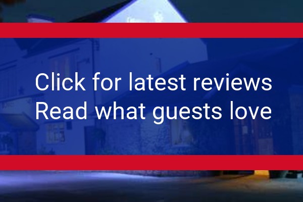 www.thebowesinclinehotel.co.uk - check out latest independent reviews
