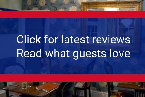 www.thebronzepig.co.uk - check out latest independent reviews