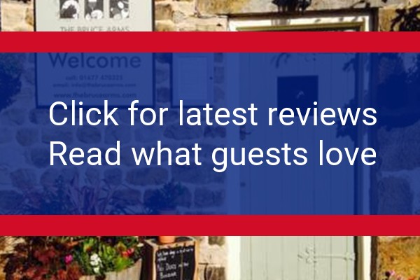 www.thebrucearms.com - check out latest independent reviews