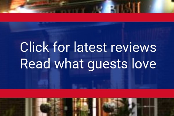 www.thebullandbush.net - check out latest independent reviews