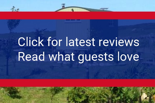 www.thebutelandstop.co.uk - check out latest independent reviews