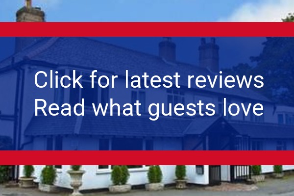 www.thecedarshotel.com - check out latest independent reviews