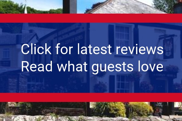 www.thecopleyarms.co.uk - check out latest independent reviews