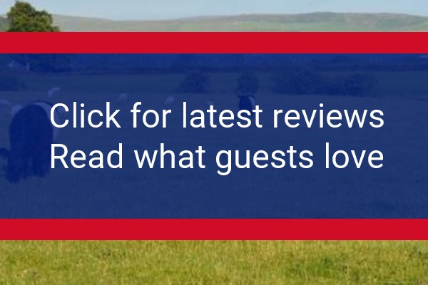 www.thedairyhousekirkcudbright.co.uk - check out latest independent reviews