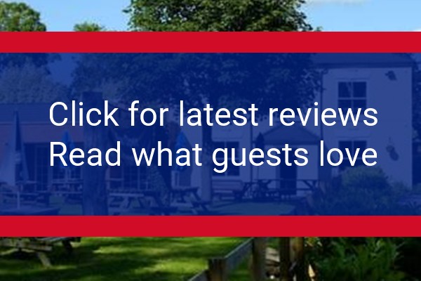 www.thedewdrop.co.uk - check out latest independent reviews