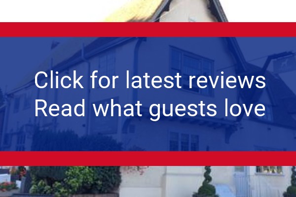 www.thedog.co.uk - check out latest independent reviews