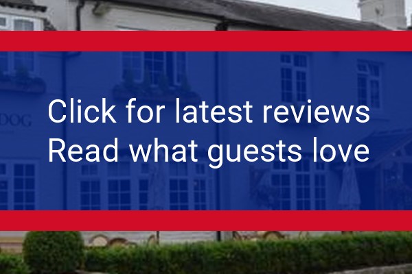 www.thedogpeover.co.uk - check out latest independent reviews