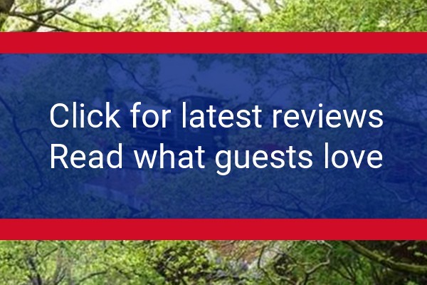 www.thedolgochfalls.co.uk - check out latest independent reviews