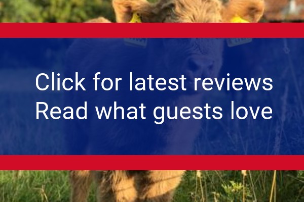 www.theearsdonannexe.co.uk - check out latest independent reviews