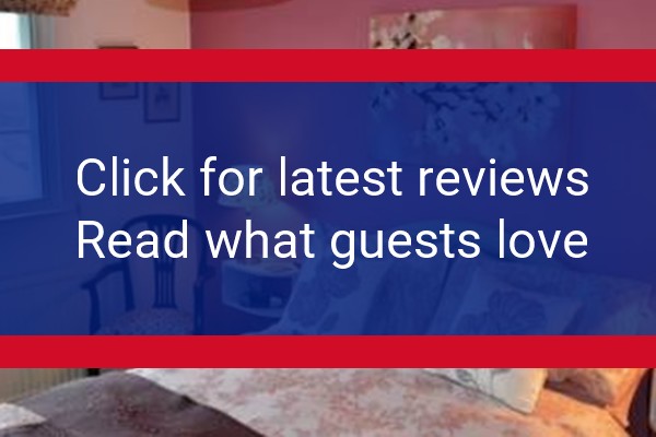 www.theelbowroomtotnes.co.uk - check out latest independent reviews
