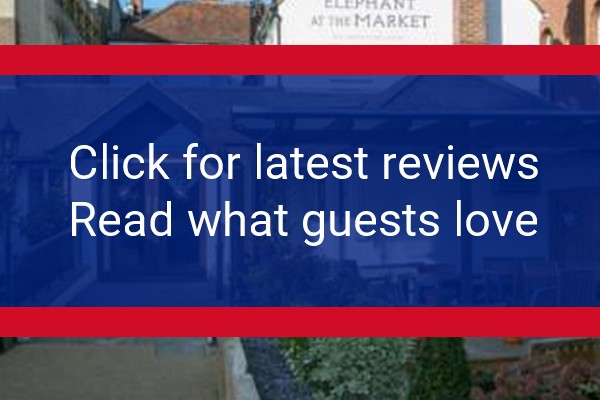 www.theelephantatthemarket.com - check out latest independent reviews