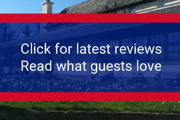 www.theelginhotel.com - check out latest independent reviews