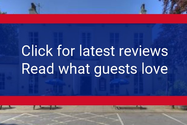www.theelmshotel.tk - check out latest independent reviews