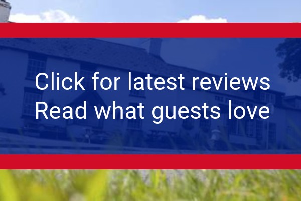 www.thefforest.co.uk - check out latest independent reviews