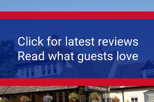 www.theflyingbull.com - check out latest independent reviews
