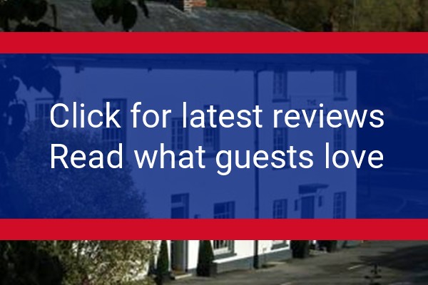 www.thefontmell.com - check out latest independent reviews