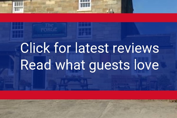 www.theforgeaislaby.co.uk - check out latest independent reviews