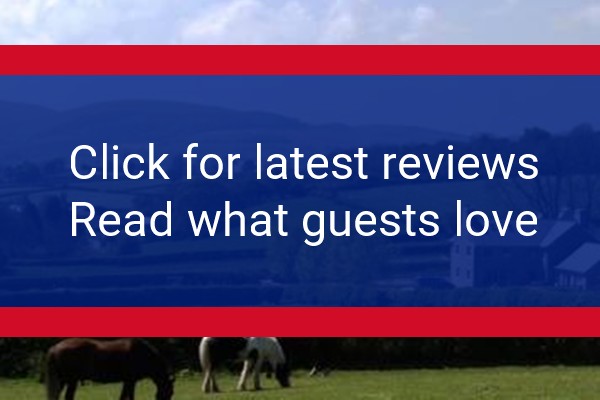www.thegables-halkyn.co.uk - check out latest independent reviews
