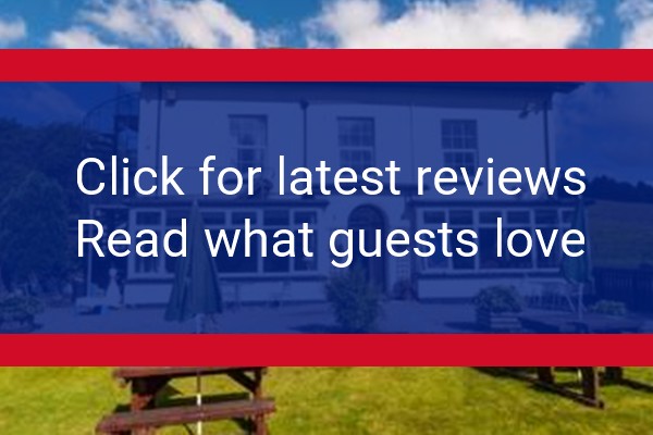 www.thegeorgeborrowhotel.co.uk - check out latest independent reviews