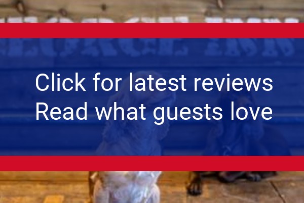 www.thegeorgeinnmiddlewallop.co.uk - check out latest independent reviews