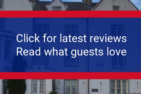 www.thegreygull.co.uk - check out latest independent reviews