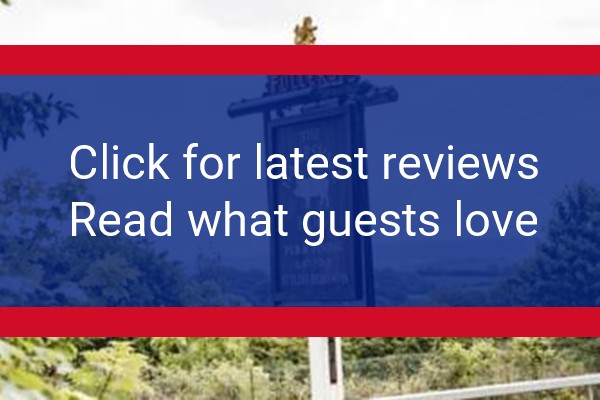www.thehampshirehog.co.uk - check out latest independent reviews