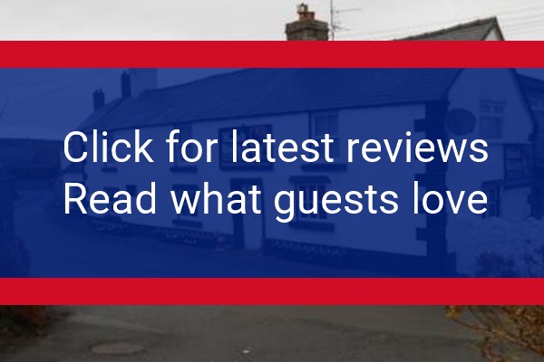 www.thehawkandbuckle.com - check out latest independent reviews