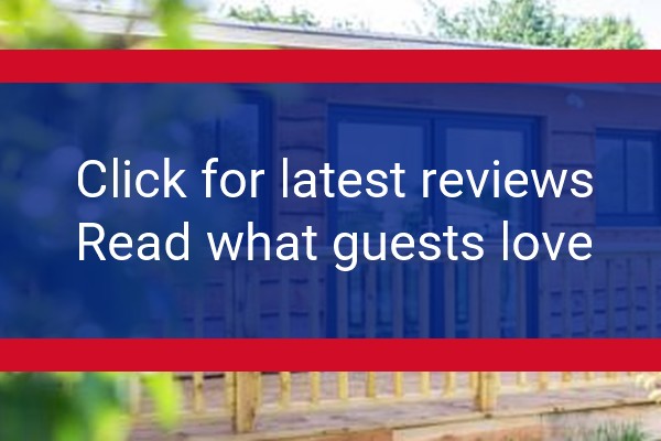 www.theholfordarms.co.uk - check out latest independent reviews
