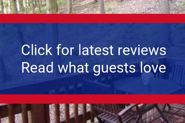 www.theholliesfarmshop.co.uk - check out latest independent reviews