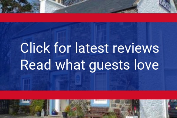 www.thehomesteadguesthouse.com - check out latest independent reviews