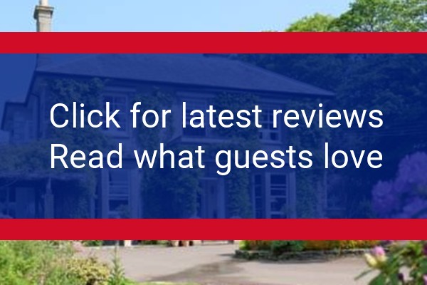 www.thehornofplenty.co.uk - check out latest independent reviews