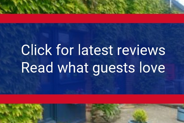 www.theivybarnbnb.co.uk - check out latest independent reviews