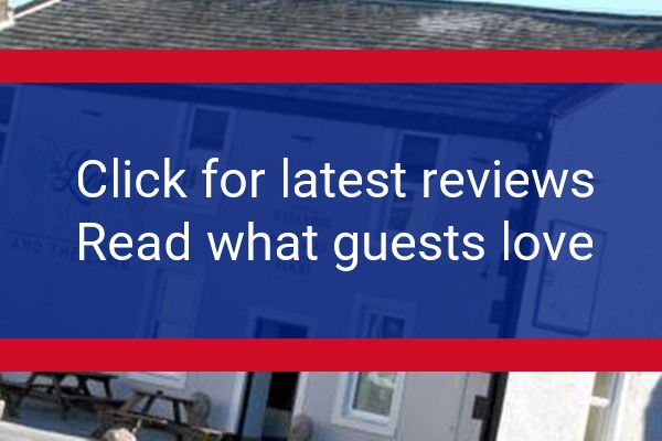 www.thelionthelamb.co.uk - check out latest independent reviews